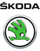 TELECAMERE X SKODA