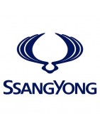 TELECAMERE X SSANGYONG