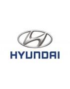 TELECAMERE X HYUNDAI