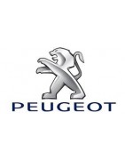 TELECAMERE X PEUGEOT